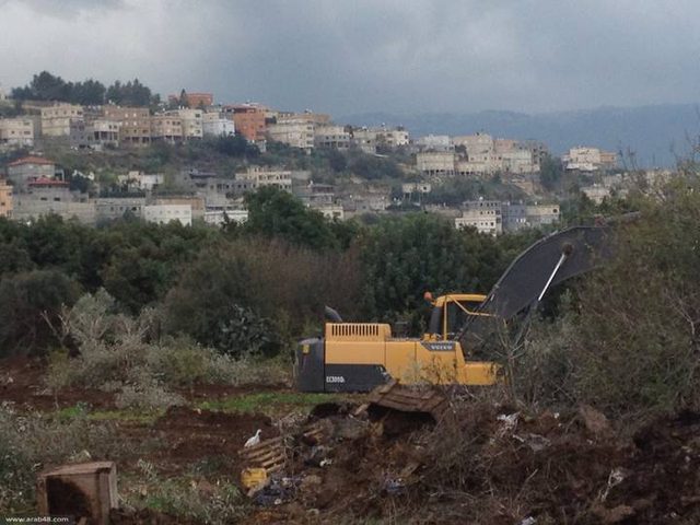 الاحتلال يجرف أراضي ويقتلع أشتال كرمة وزيتون