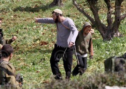 مستوطنون يهاجمون قاطفي الزيتون في أراضي بورين