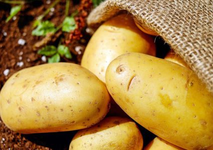 خطأ فادح حين نضع البطاطا بالثلاجة.. هذا مايحدث