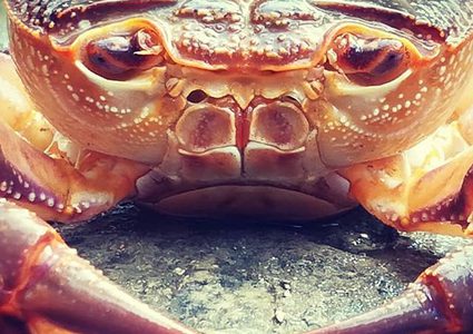 مزحة ثقيلة كادت تتحول إلى فاجعة