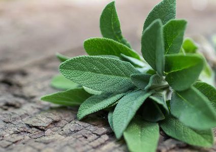 شاي الميرامية لعلاج التهاب الحلق