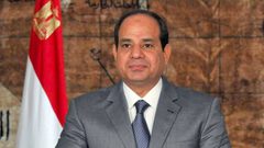 السيسي: نبذل جهدا كبيرا في الملف الفلسطيني