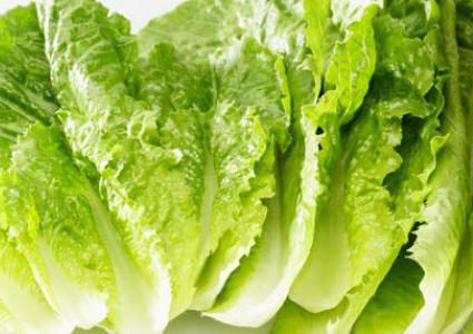 زيت الخس.. فوائد سحرية في الجمال والقوة والصحة