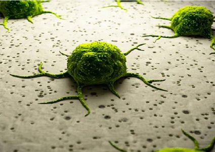 هل يقلل الأشقاء خطر الإصابة بالسرطان؟