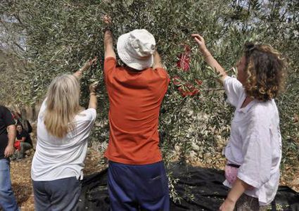 "باقون ما بقي الزعتر والزيتون" تواصل فعالياتها