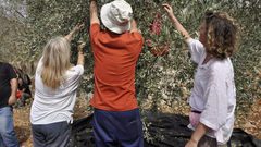 "باقون ما بقي الزعتر والزيتون" تواصل فعالياتها