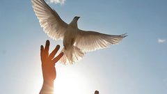 الإعلان عن الفائزين بمسابقة جائزة الحرية 2018