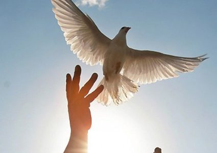 الإعلان عن الفائزين بمسابقة جائزة الحرية 2018