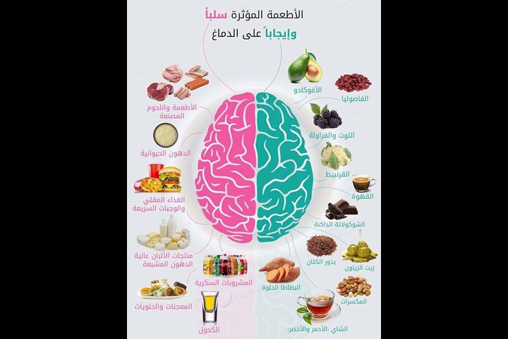 الأطعمة المؤثرة سلبًا وإيجابا على الدماغ