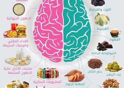 الأطعمة المؤثرة سلبًا وإيجابا على الدماغ