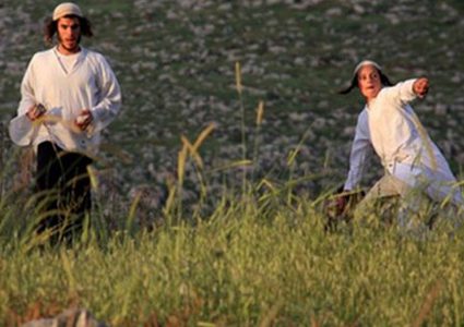 مستوطنون يسرقون نعجة الرعاة في الأغوار الشمالية