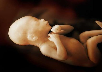 هل يبدأ الخرف من الرحم؟