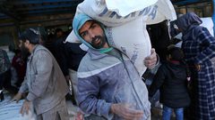 مشعشع: اجتماع للأونروا واستهداف الوكالة فشل