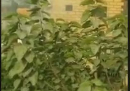 الاحتلال يهدم منزلًا  من أربع طبقات في البيرة