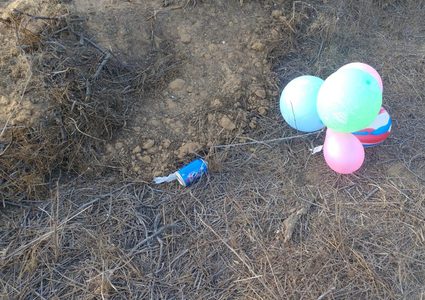 الاحتلال يزعم سقوط عشرات البالونات الحارقة من غزة