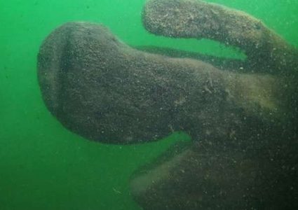 سفينة "بحيرة الثعبان" تكشف عن أسرارها