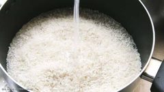 علماء يكتشفون "الطريقة الصحية" لطهي الأرز