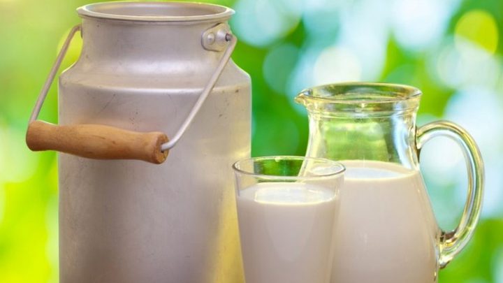 الألبان كاملة الدسم تقلل خطر السكري