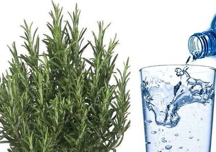 اكتشاف "ماء" خاص لتحسين الذاكرة والانتباه