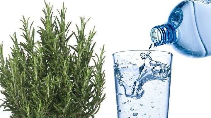 اكتشاف "ماء" خاص لتحسين الذاكرة والانتباه