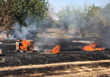 اندلاع حريق في أحراش "مفلاسيم" بفعل بالون حارق