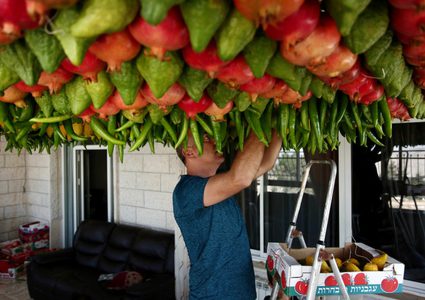 تزيين الفواكه والثمار في منطقة جبل جرزيم بنابلس