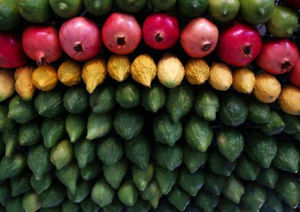 تزيين الفواكه والثمار في منطقة جبل جرزيم بنابلس