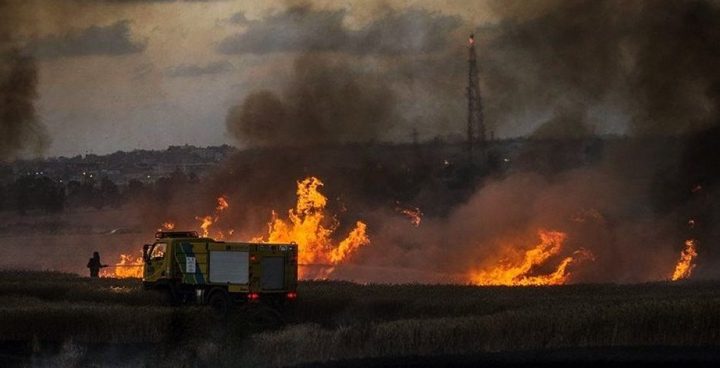 يديعوت: حرائق كبيرة تلتهم 120 دونما في "جبارعام"