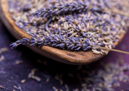 الخزامى وفوائد رائعة تقلل القلق