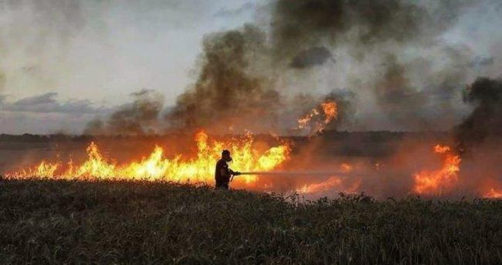 4 حرائق بمستوطنات "غلاف غزة" بفعل بالونات حارقة