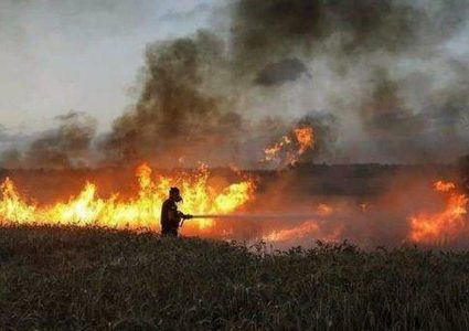 4 حرائق بمستوطنات "غلاف غزة" بفعل بالونات حارقة