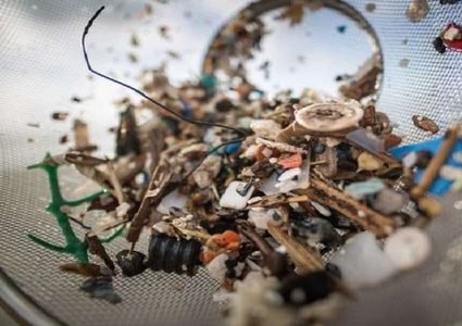 دراسة عالمية تثبت أننا جميعا "نتناول" البلاستيك!