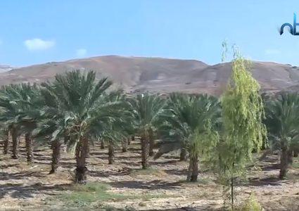 ملك الأردن ينهي تأجير الباقورة والغمر لإسرائيل