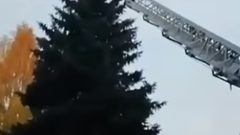 إنقاذ طالب أجنبي علق على قمة شجرة في روسيا