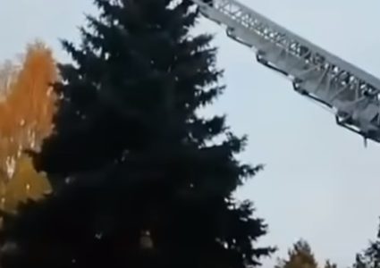 إنقاذ طالب أجنبي علق على قمة شجرة في روسيا