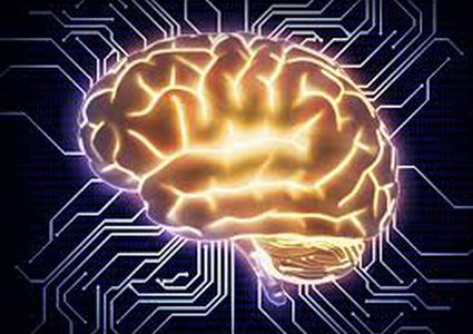 العلماء يطورون أدمغة بشرية في المختبر