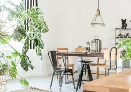 طرق توزيع النباتات الطبيعية في "ديكور المنزل"