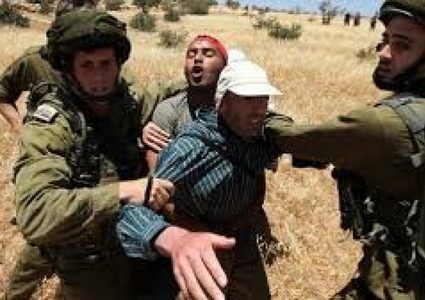 الاحتلال يطارد الرعاة في الأغوار ويعتقل أحدهم