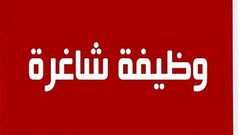 وظيفة شاغرة: مخرج تلفزيوني في مركز إعلام النجاح