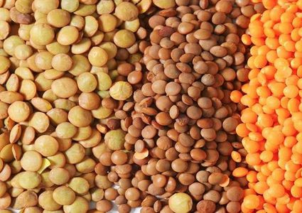 تعرف على فوائد العدس الصحية لجسم الإنسان!