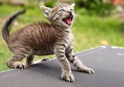 ما هي أسباب الخوف والتوتر