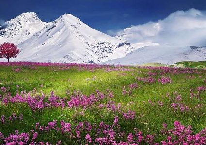 بلدان تتمتع بأنقى هواء على وجه الأرض