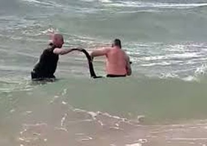 الشرطة الأسترالية تنقذ كنغرا حاول "الانتحار"!