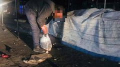 يقرصهم الجوع، و تسد رمقهم مخلفات السوق