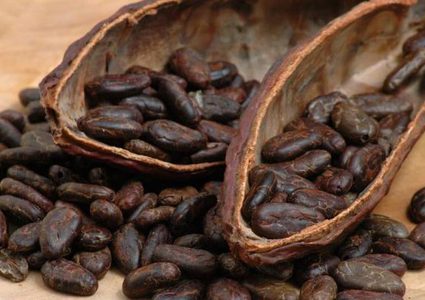 البشر والشوكولاتة.. "علاقة حب" عمرها قرون