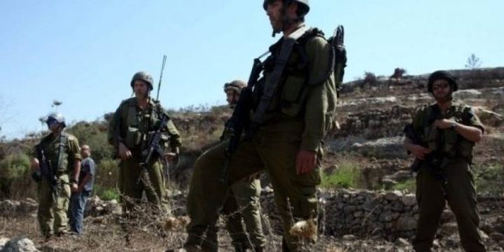 الاحتلال يعتقل مواطنا من أرضه في بلدة الخضر