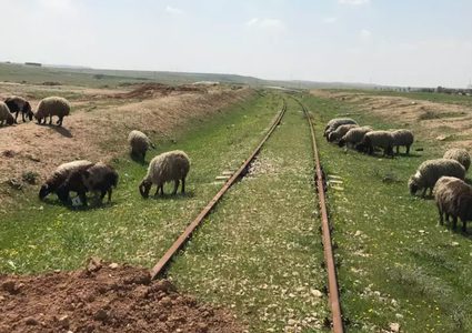 قطار السلام... سكة حديدة لربط تل أبيب بسلطنة عمان