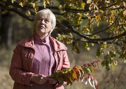 مواد غذائية تبطئ الشيخوخة!