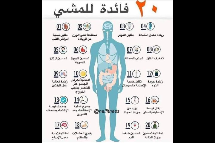 فوائد المشي