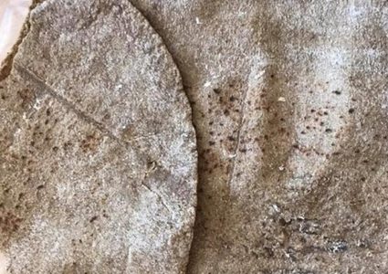 "خبز الطحالب" والعناصر الغذائية التي تحتويها